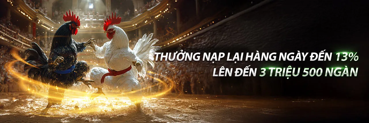 Đá gà trực tuyến tại đăng ký xin88