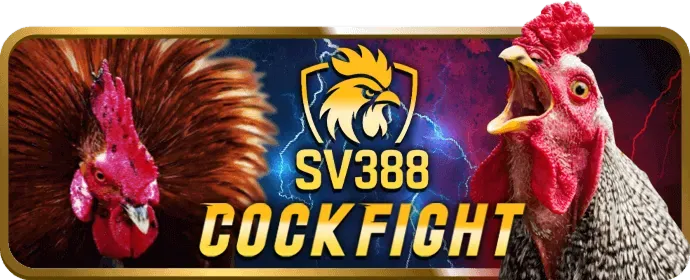 Cách đăng ký xin88 sử dụng cookie